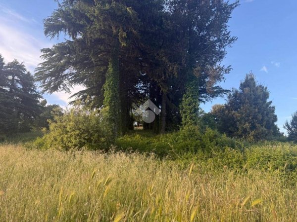 terreno agricolo in vendita ad Artena in zona Colubro