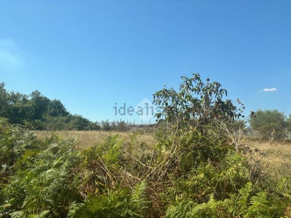 terreno in vendita ad Artena