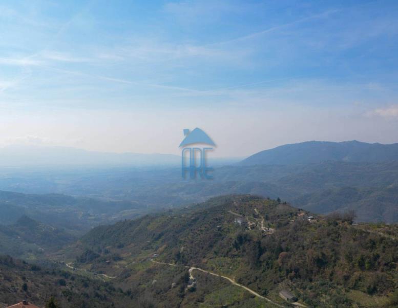 appartamento in vendita a Bellegra