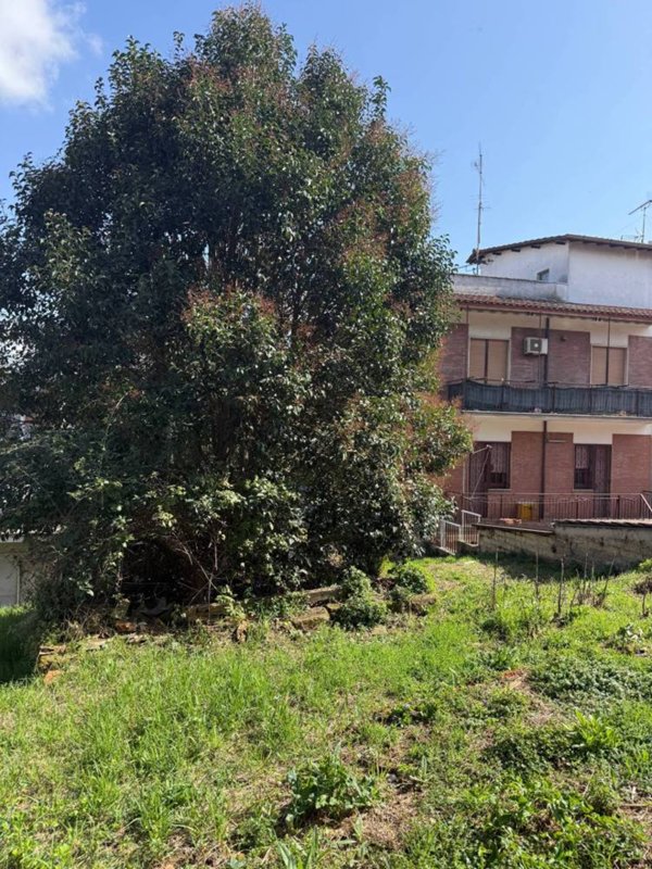 terreno edificabile in vendita a Bellegra