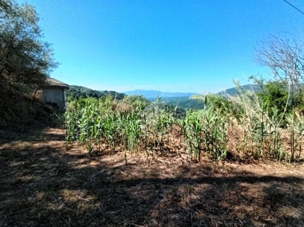 appartamento in vendita a Bellegra in zona Vadocanale