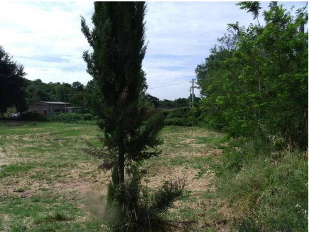 terreno agricolo in vendita a Bracciano