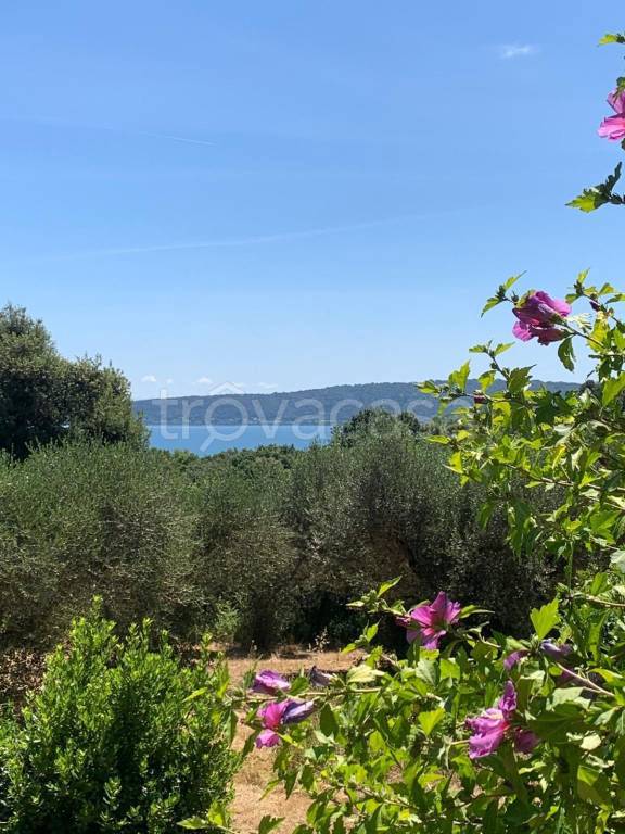 casa indipendente in vendita a Bracciano