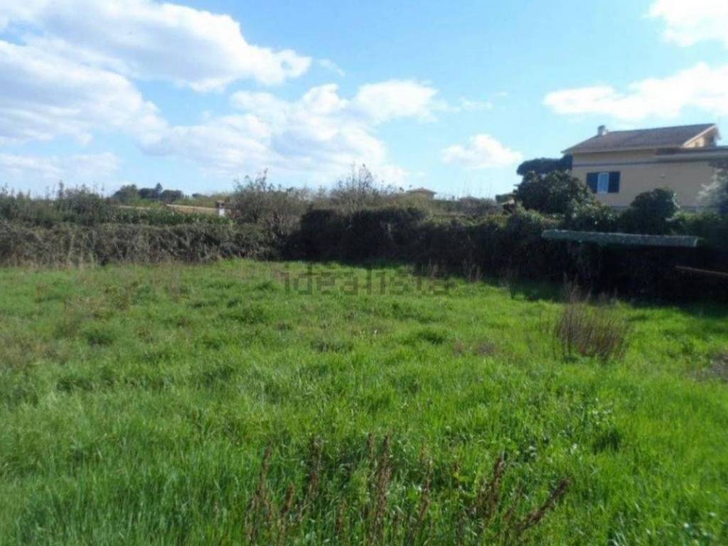 terreno agricolo in vendita a Bracciano