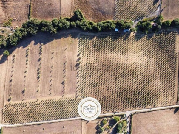 terreno agricolo in vendita a Bracciano in zona Castel Giuliano