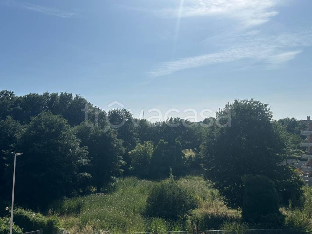 appartamento in vendita a Bracciano