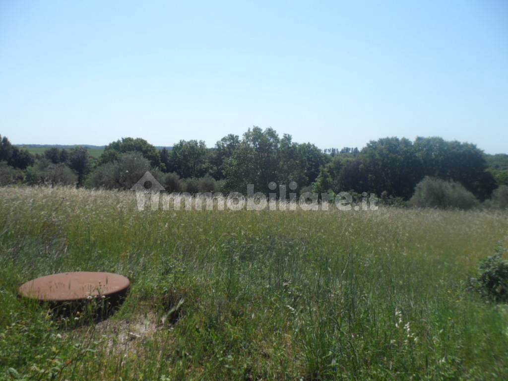 terreno edificabile in vendita a Bracciano in zona Castel Giuliano