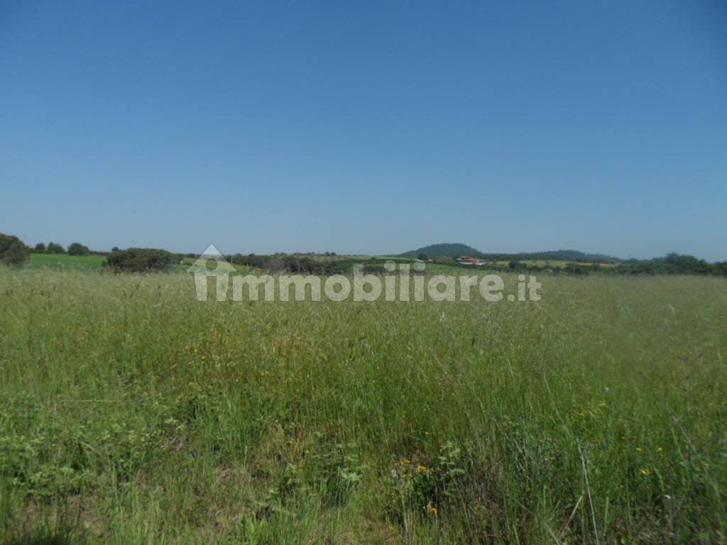 casa indipendente in vendita a Bracciano in zona Castel Giuliano