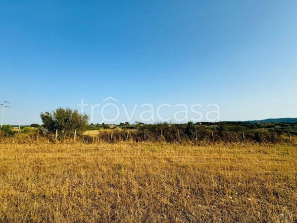 terreno agricolo in vendita a Bracciano in zona Castel Giuliano