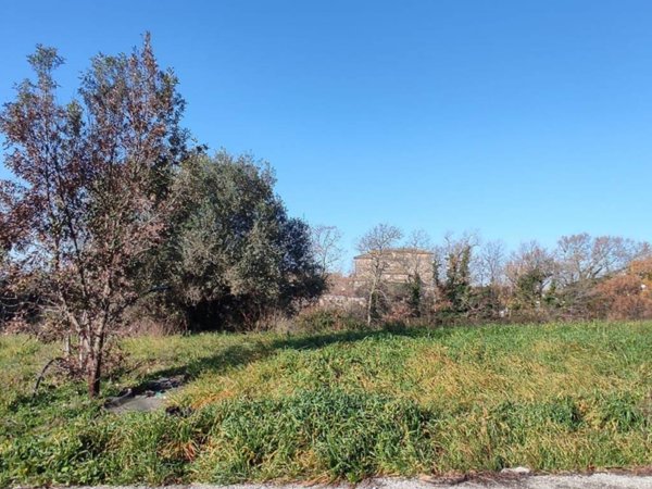 terreno agricolo in vendita a Bracciano