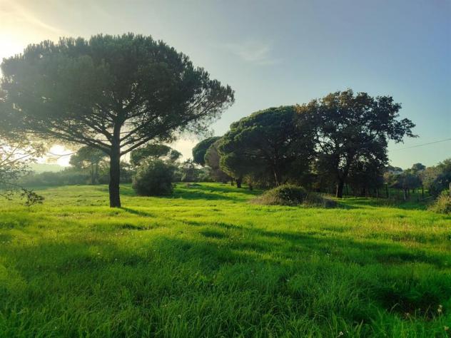 ufficio in vendita a Bracciano
