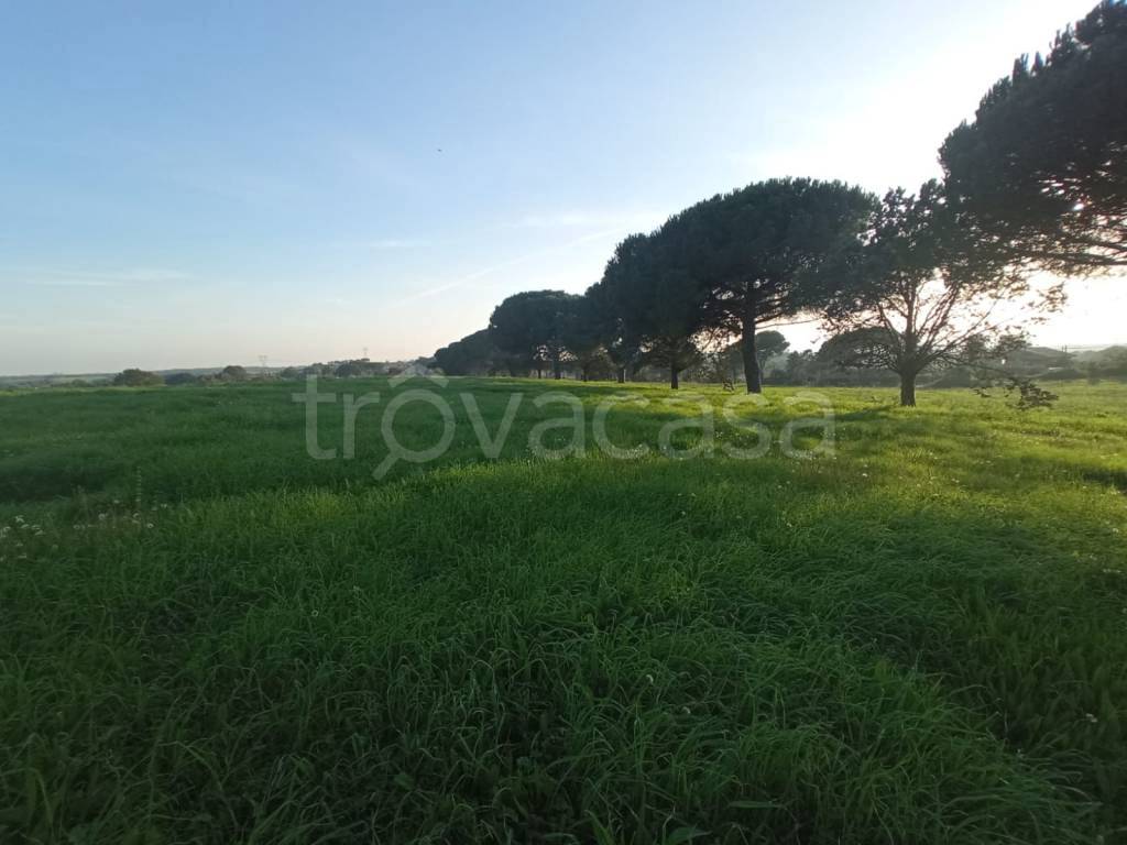 ufficio in vendita a Bracciano
