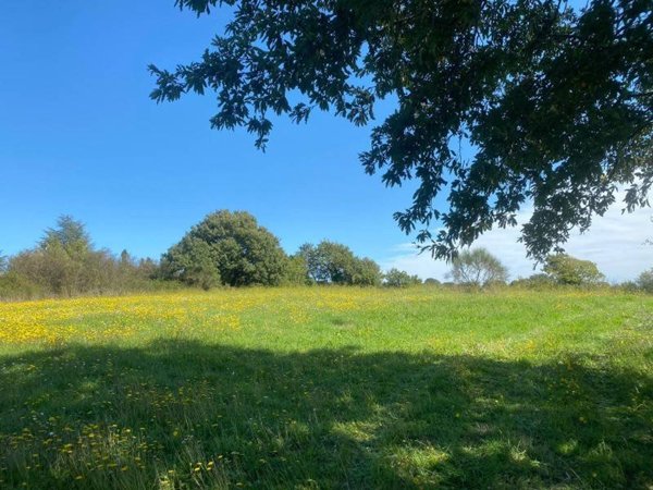 terreno agricolo in vendita a Bracciano