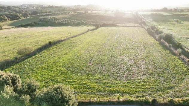 terreno agricolo in vendita a Bracciano in zona Castel Giuliano
