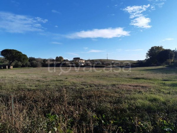 terreno agricolo in vendita a Bracciano