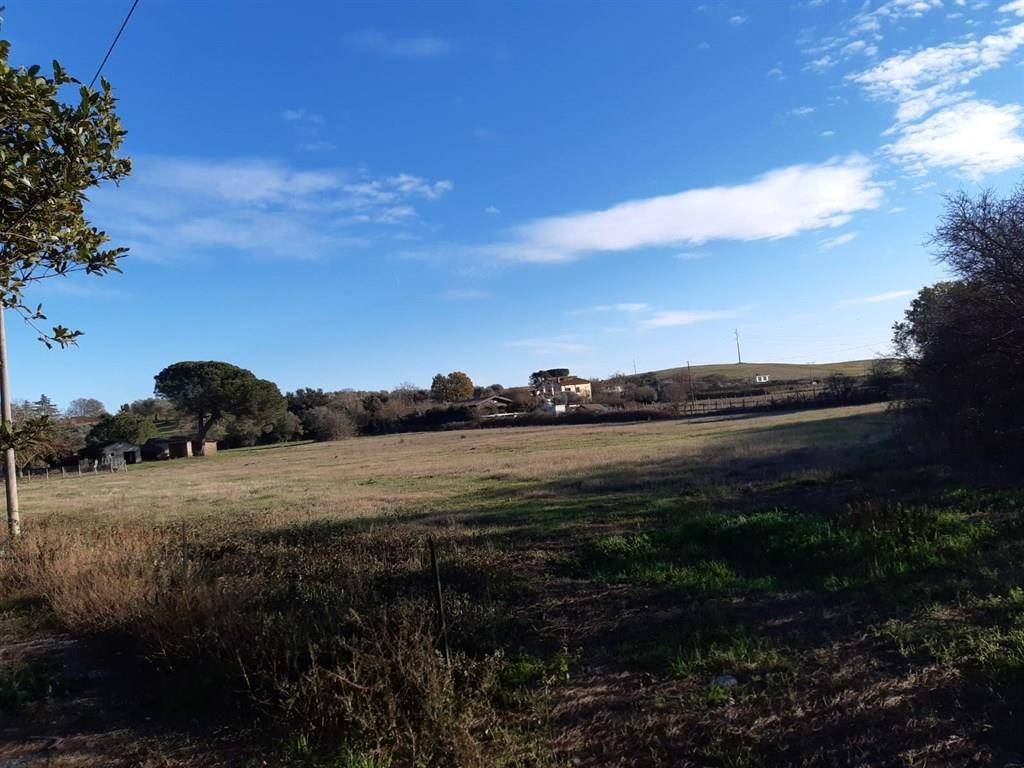 terreno agricolo in vendita a Bracciano
