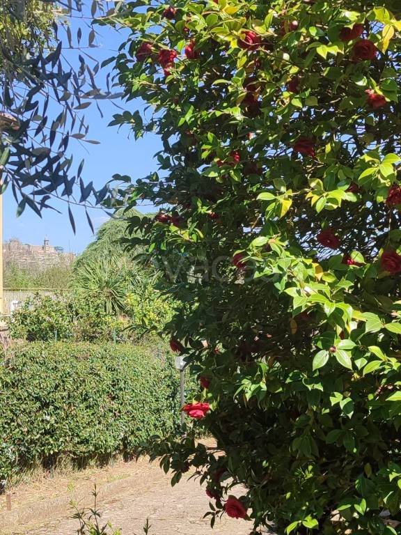 casa indipendente in vendita a Bracciano