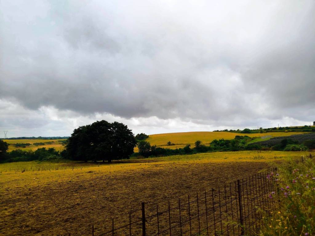terreno agricolo in vendita a Bracciano