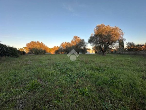 terreno agricolo in vendita a Bracciano in zona Castel Giuliano