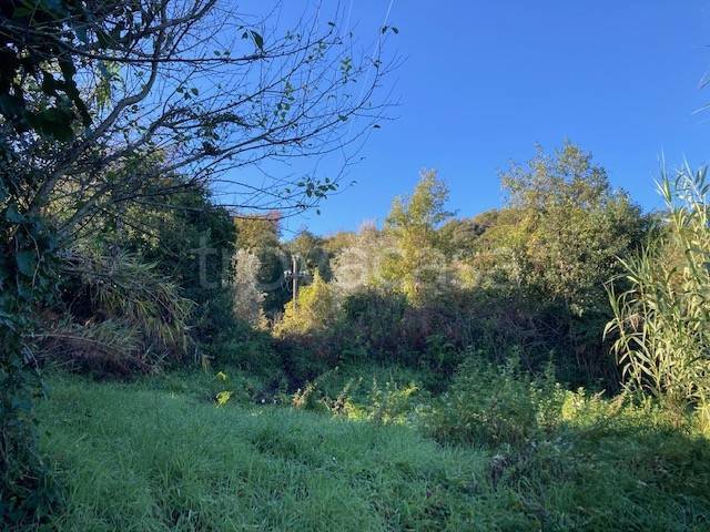 terreno agricolo in vendita a Bracciano in zona Pisciarelli