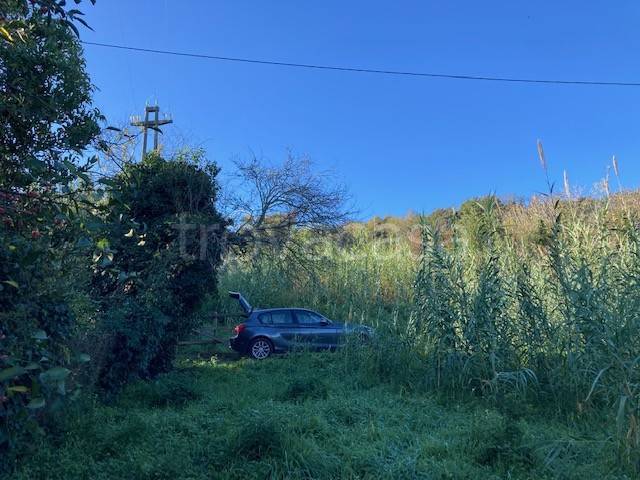 terreno agricolo in vendita a Bracciano in zona Pisciarelli