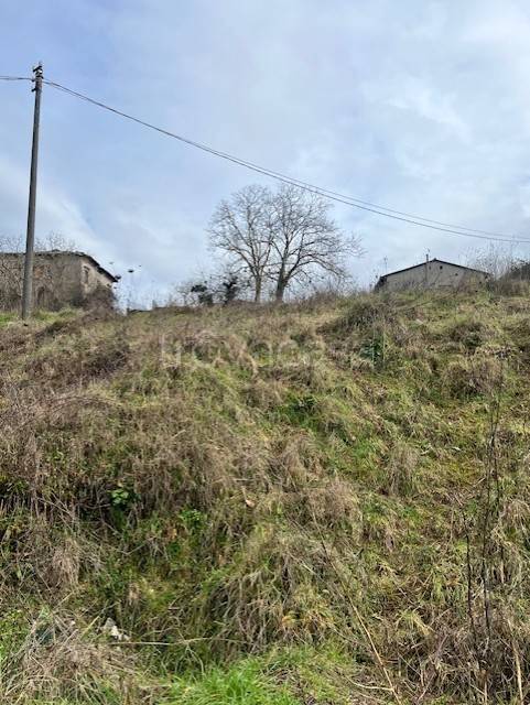 terreno agricolo in vendita a Bracciano in zona Pisciarelli