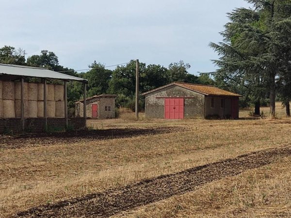 terreno agricolo in vendita a Bracciano in zona Castel Giuliano