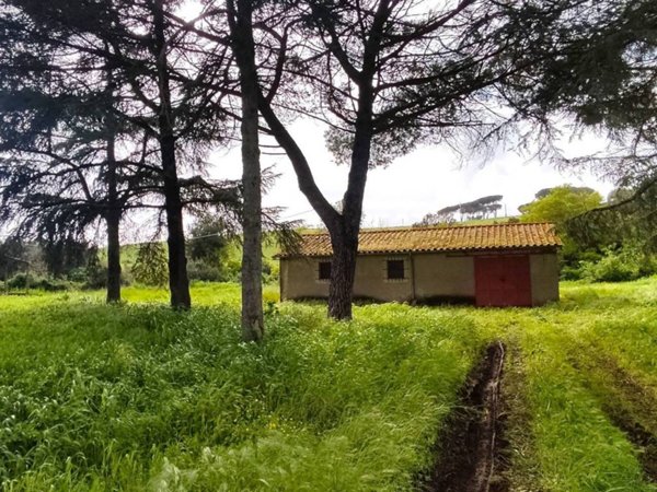 terreno agricolo in vendita a Bracciano in zona Castel Giuliano