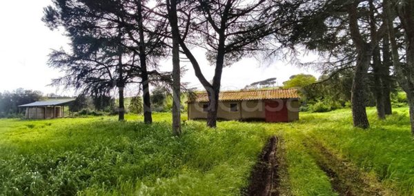 casa indipendente in vendita a Bracciano in zona Castel Giuliano