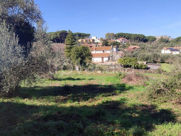 terreno agricolo in vendita a Bracciano