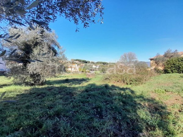 terreno agricolo in vendita a Bracciano