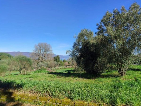 terreno agricolo in vendita a Bracciano