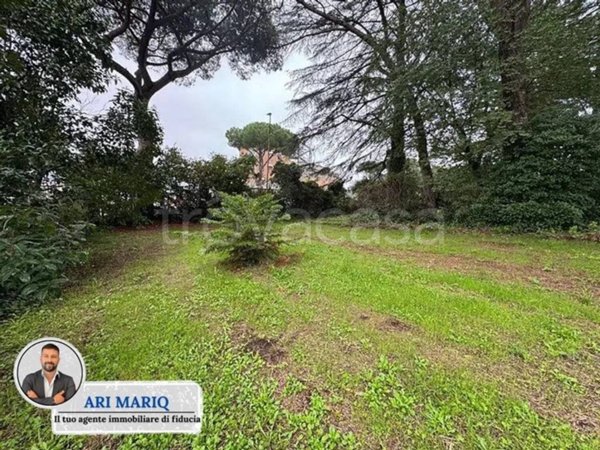 appartamento in vendita a Bracciano