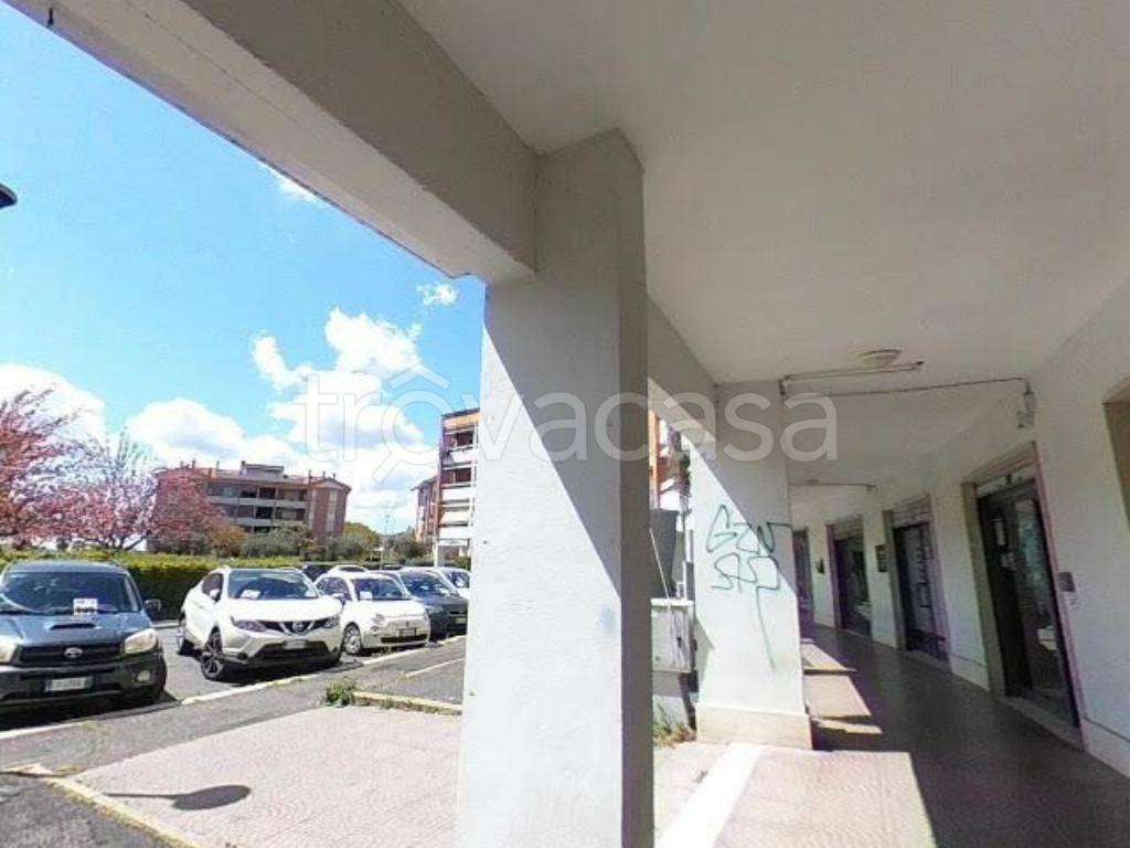 appartamento in vendita a Bracciano