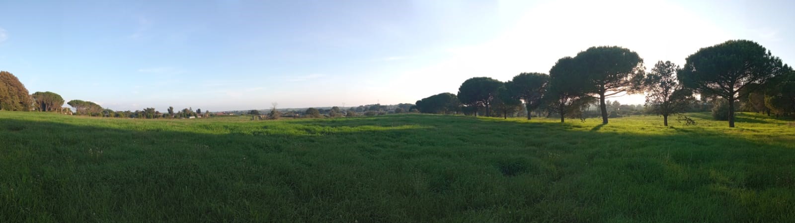 ufficio in vendita a Bracciano