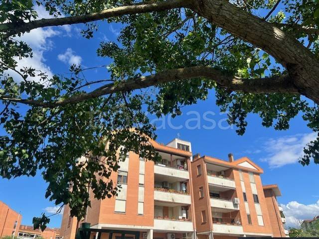 appartamento in vendita a Bracciano