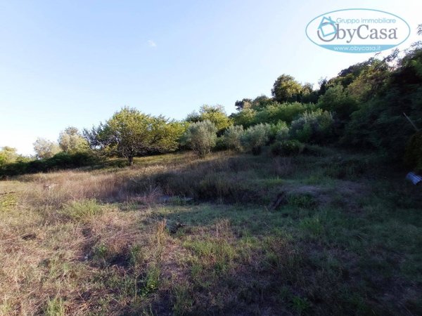 terreno agricolo in vendita a Bracciano