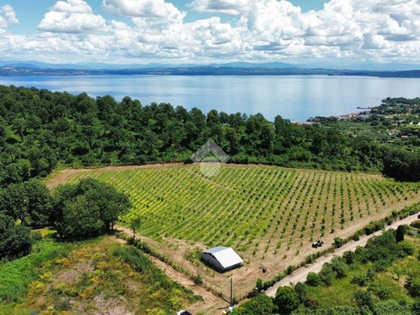 terreno agricolo in vendita a Bracciano