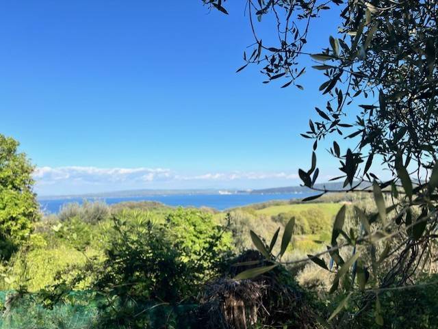 terreno agricolo in vendita a Bracciano
