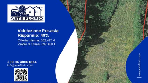 terreno agricolo in vendita a Bracciano