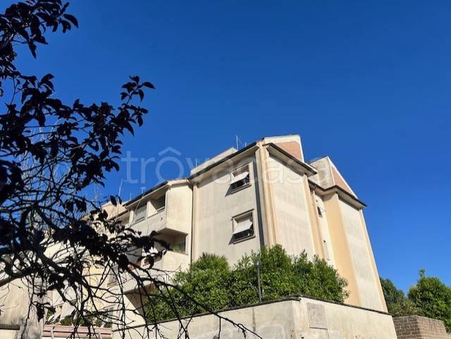 appartamento in vendita a Bracciano