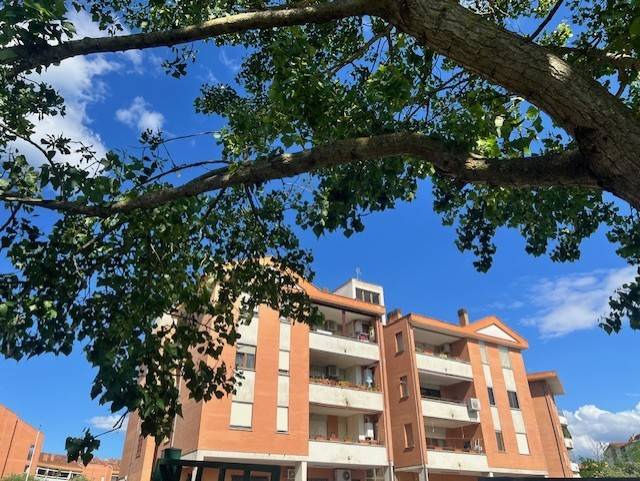 appartamento in vendita a Bracciano