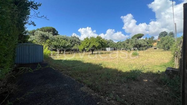 terreno agricolo in vendita a Bracciano