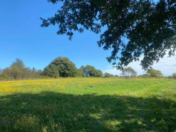 terreno agricolo in vendita a Bracciano