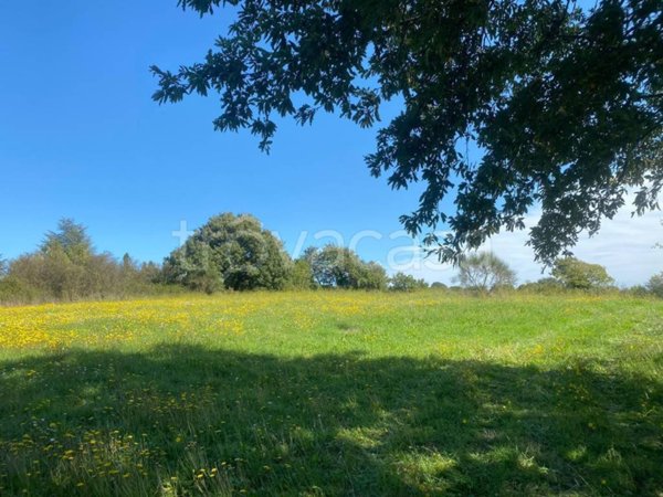 casa indipendente in vendita a Bracciano