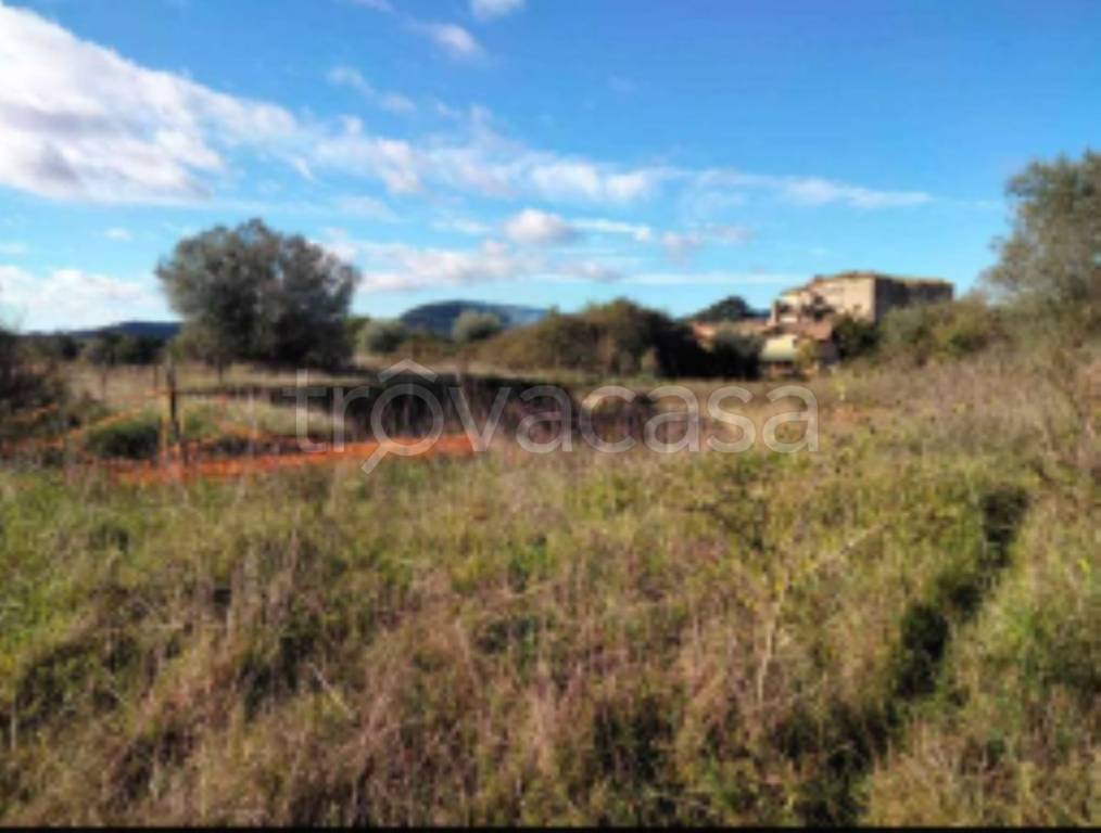 appartamento in vendita a Bracciano in zona Castel Giuliano