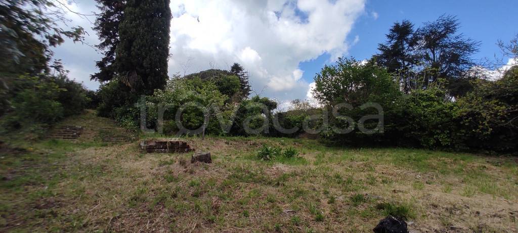 terreno agricolo in vendita a Bracciano