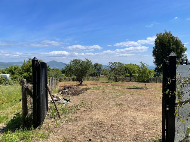 terreno agricolo in vendita a Bracciano