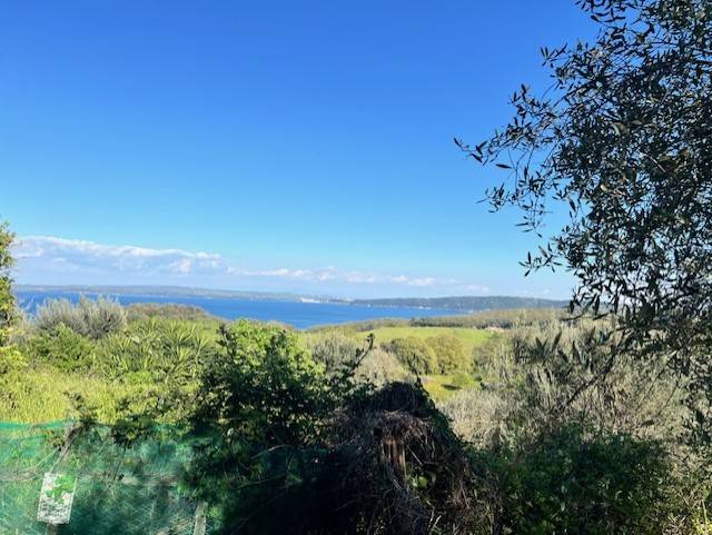 terreno agricolo in vendita a Bracciano