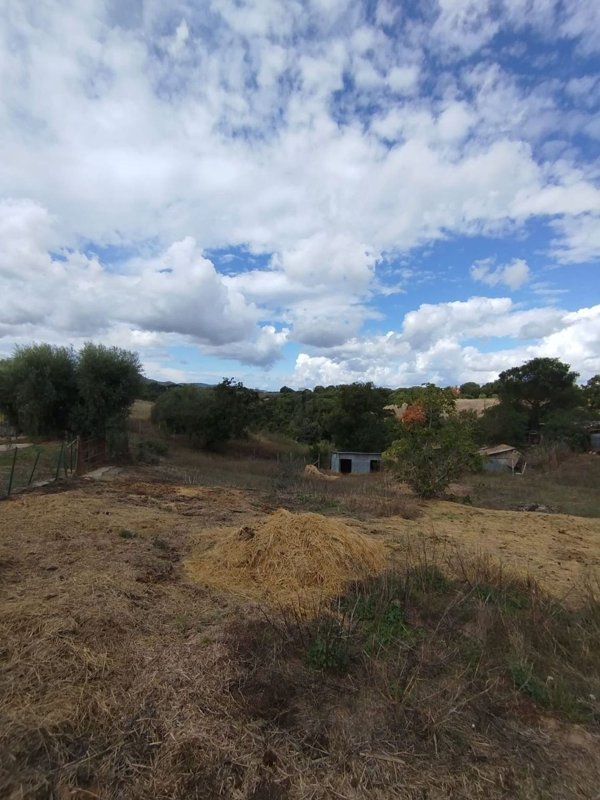 locale di sgombero in vendita a Bracciano in zona Castel Giuliano
